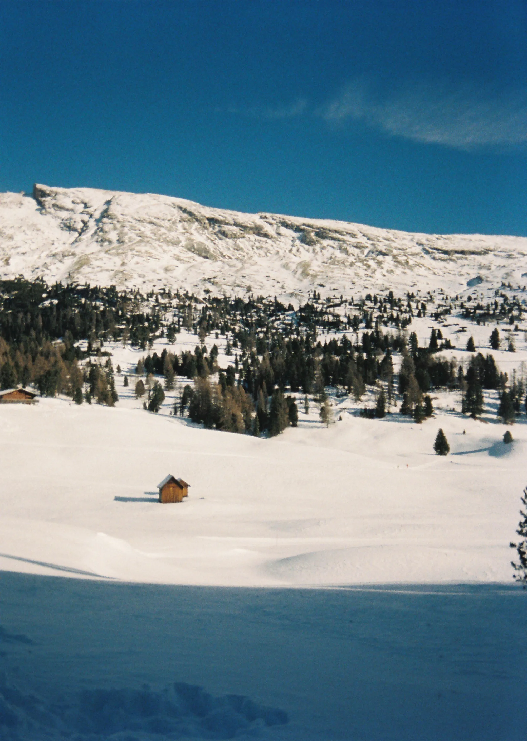 Alps