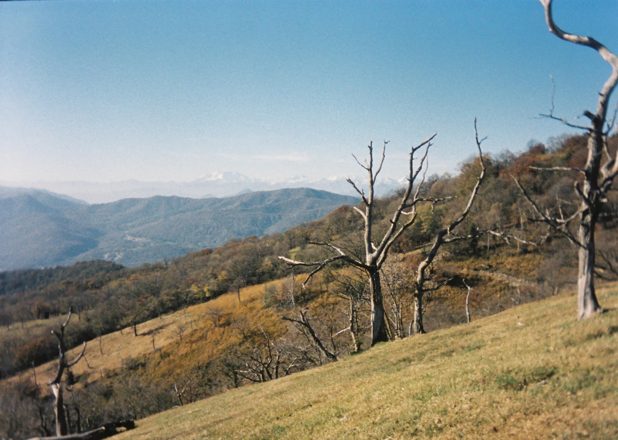 Alps