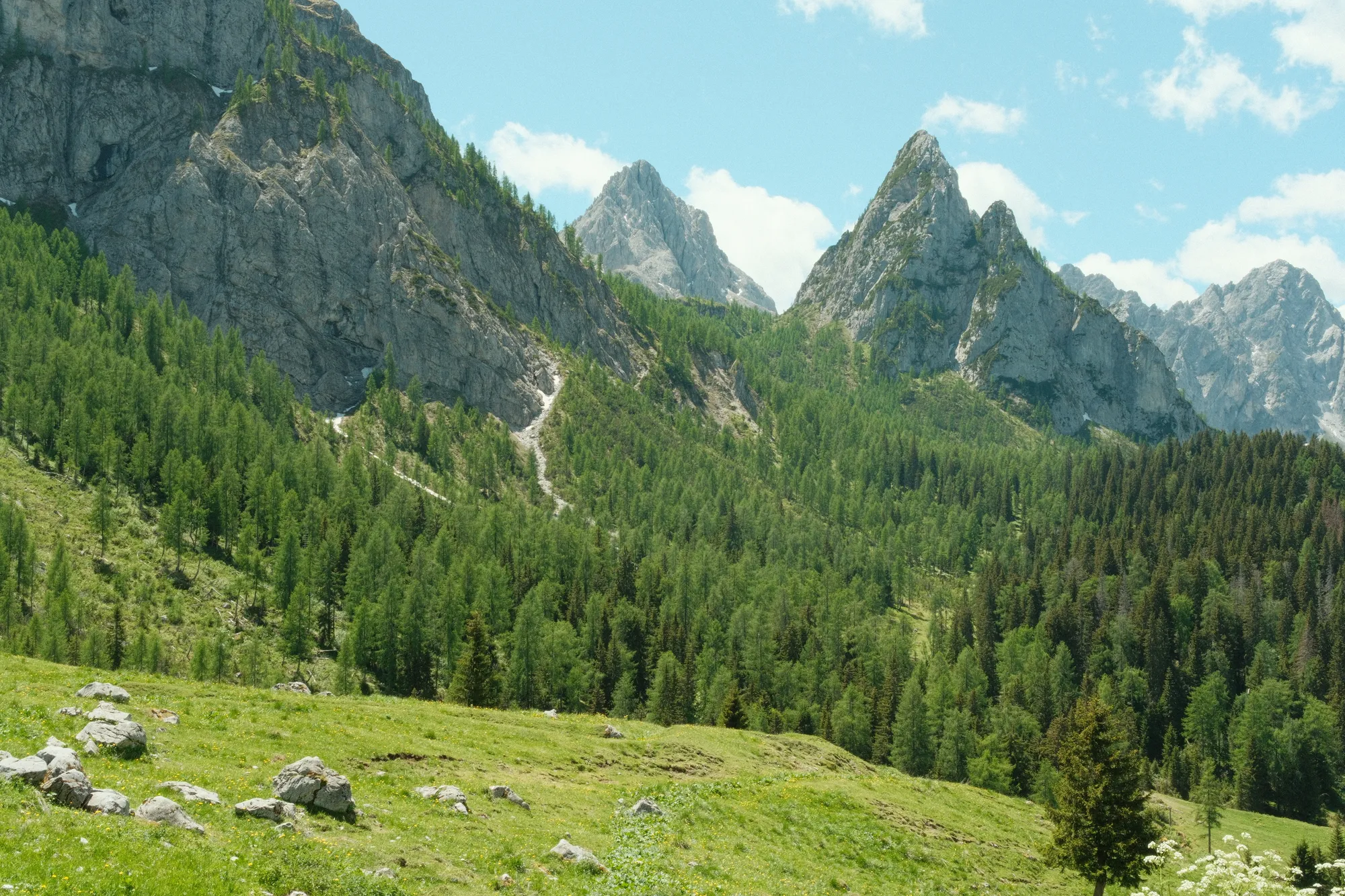 Alps