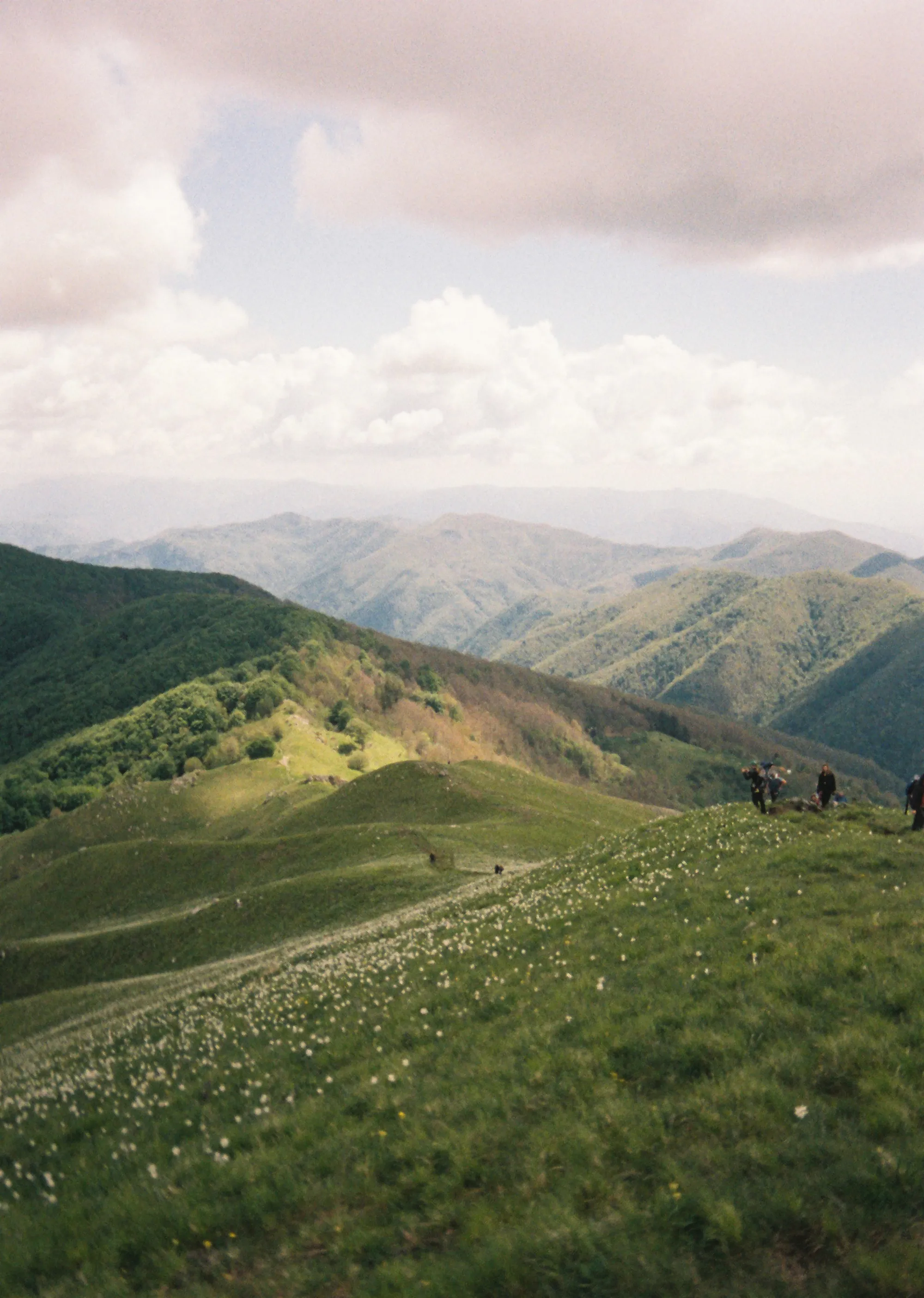 Monte Croce