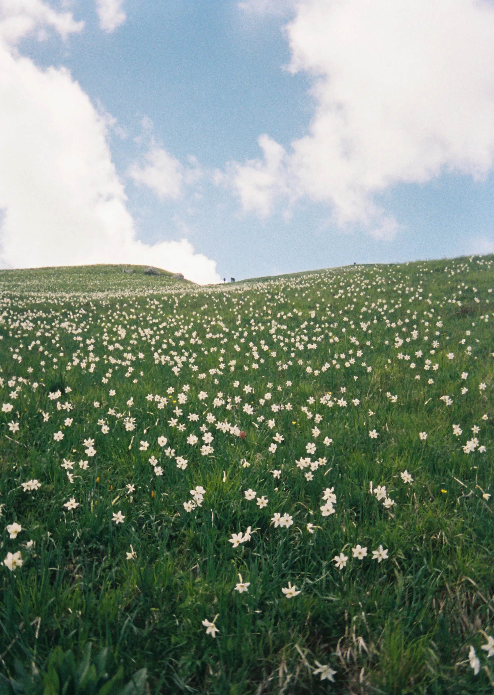 Monte Croce