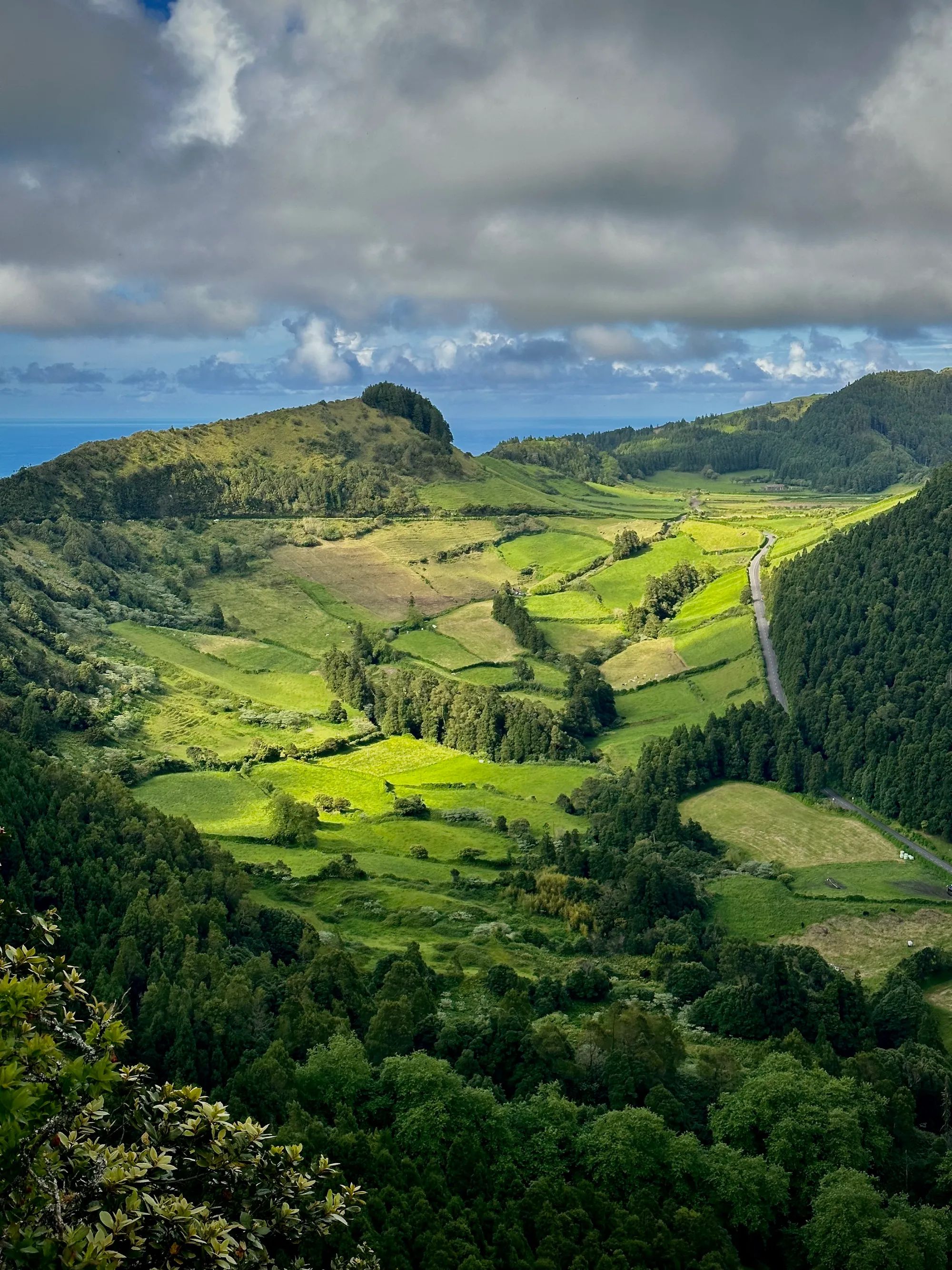 Più verde
