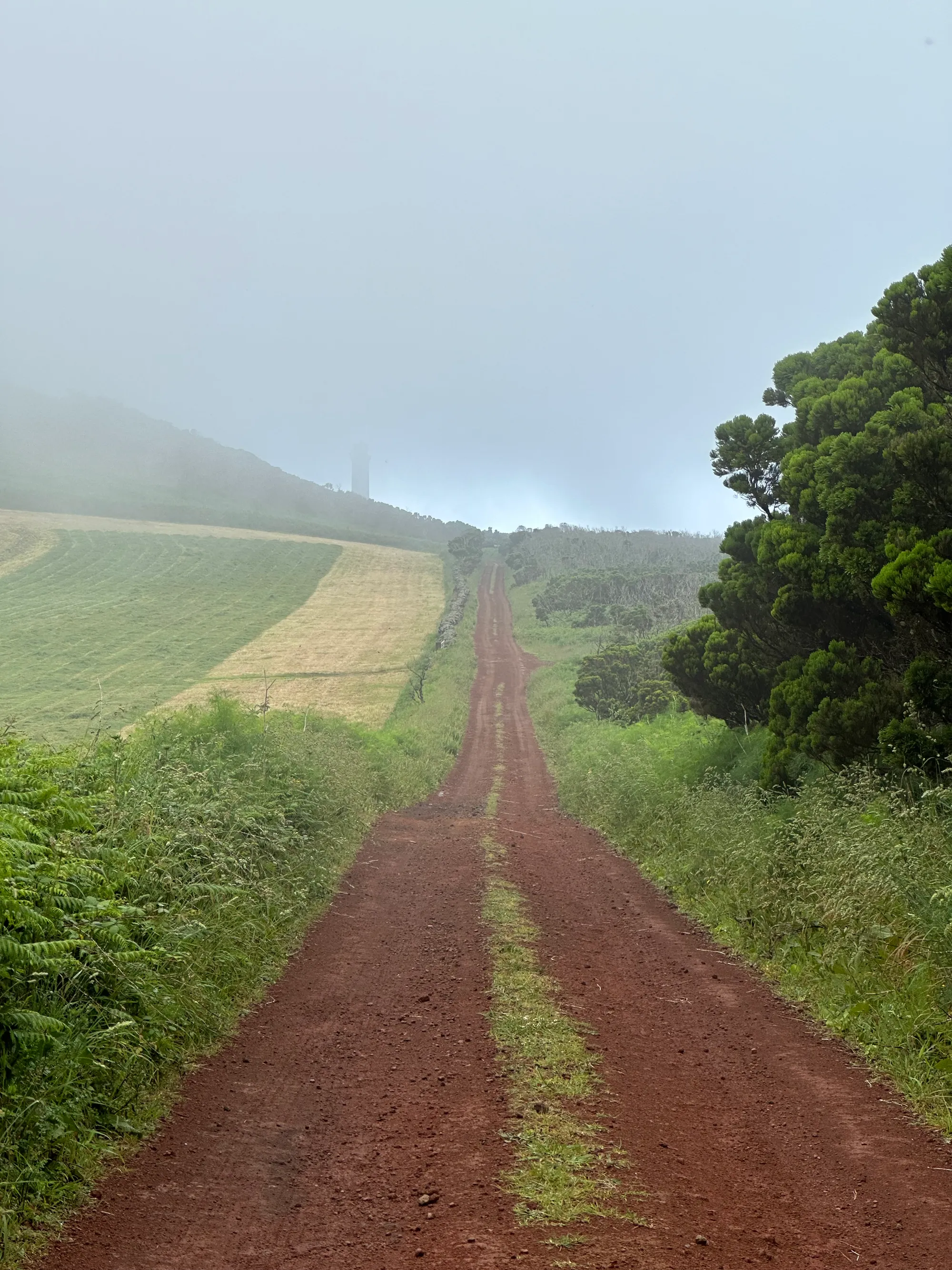 Azores
