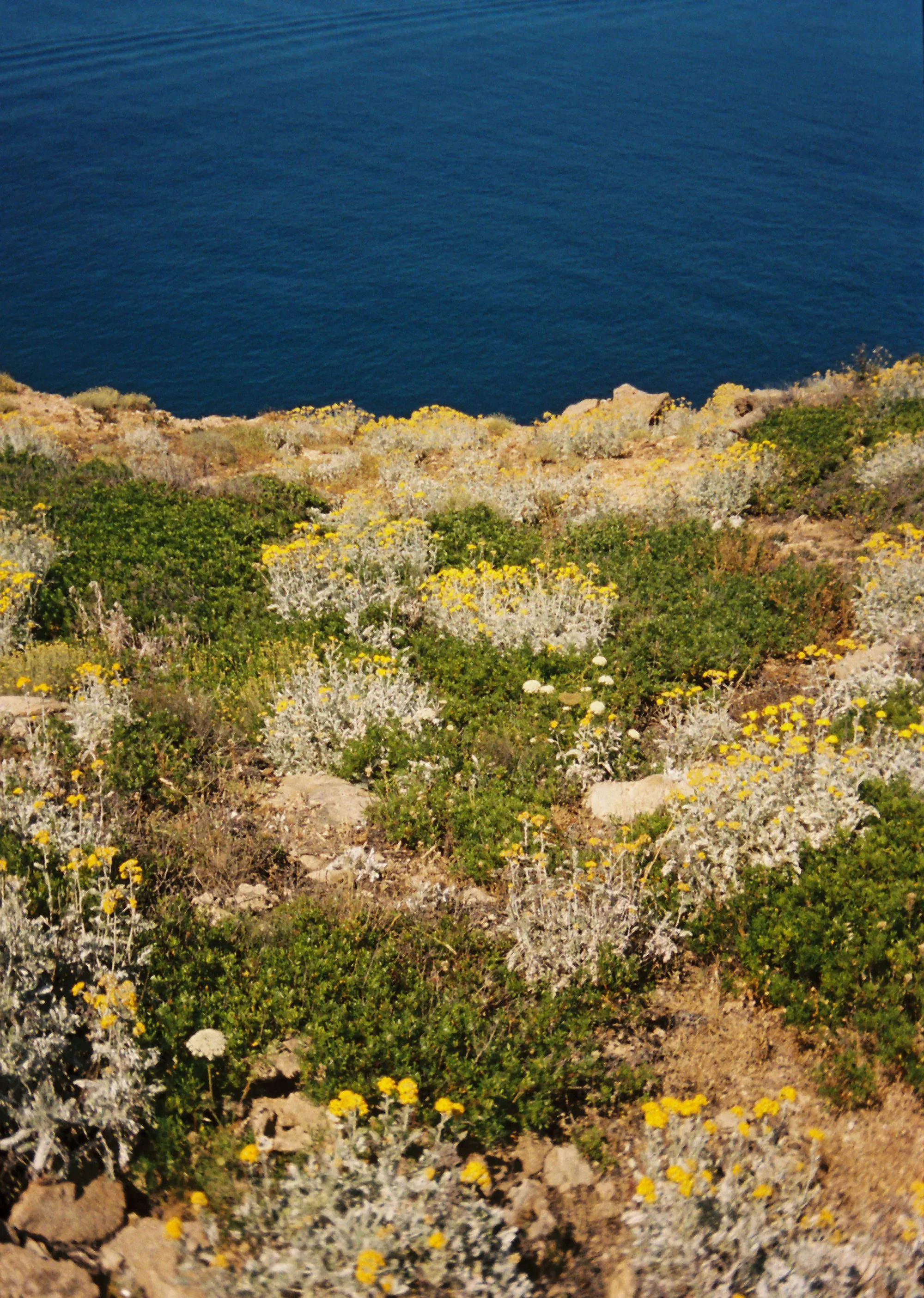 Giglio Island