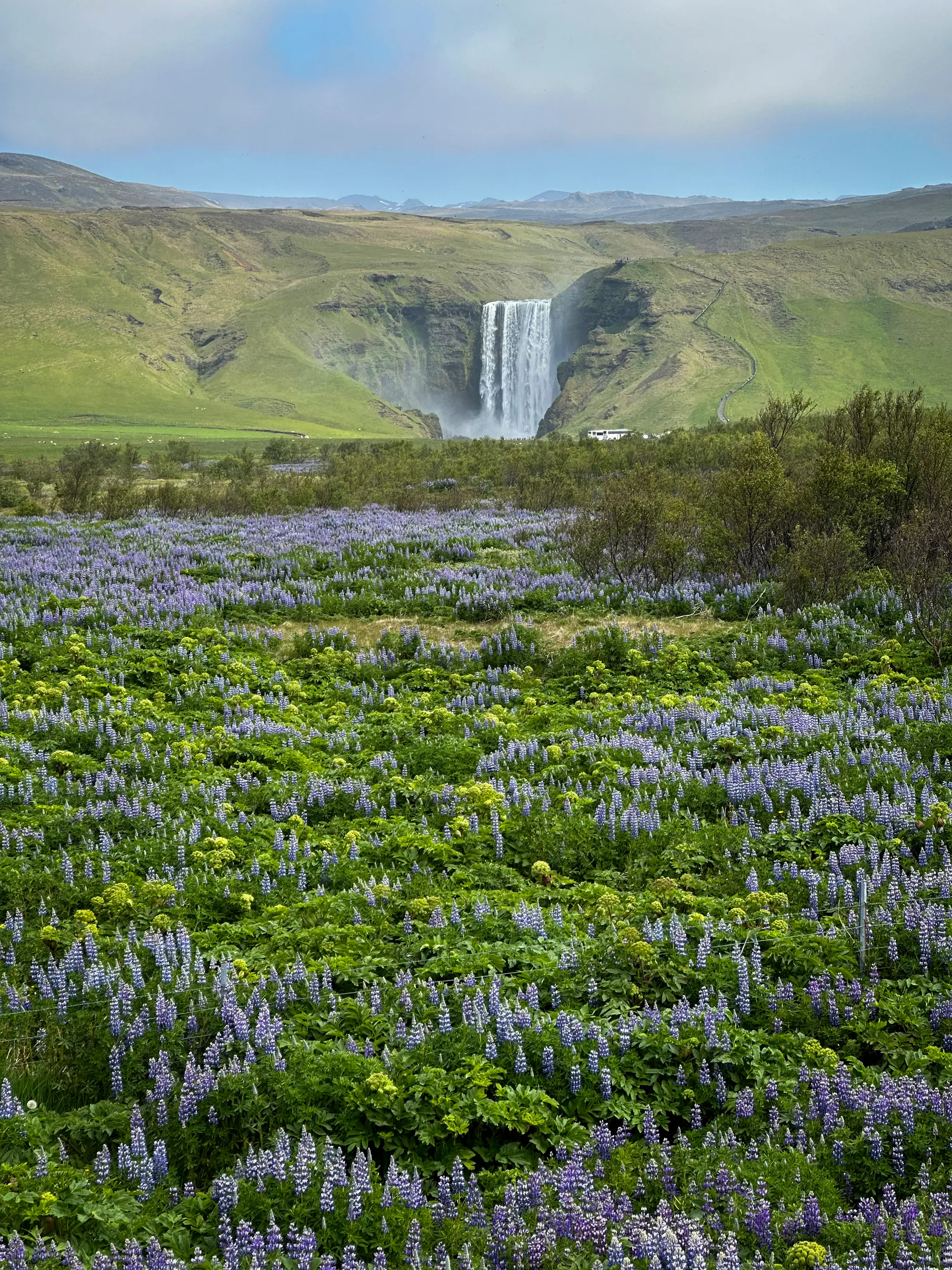 Iceland