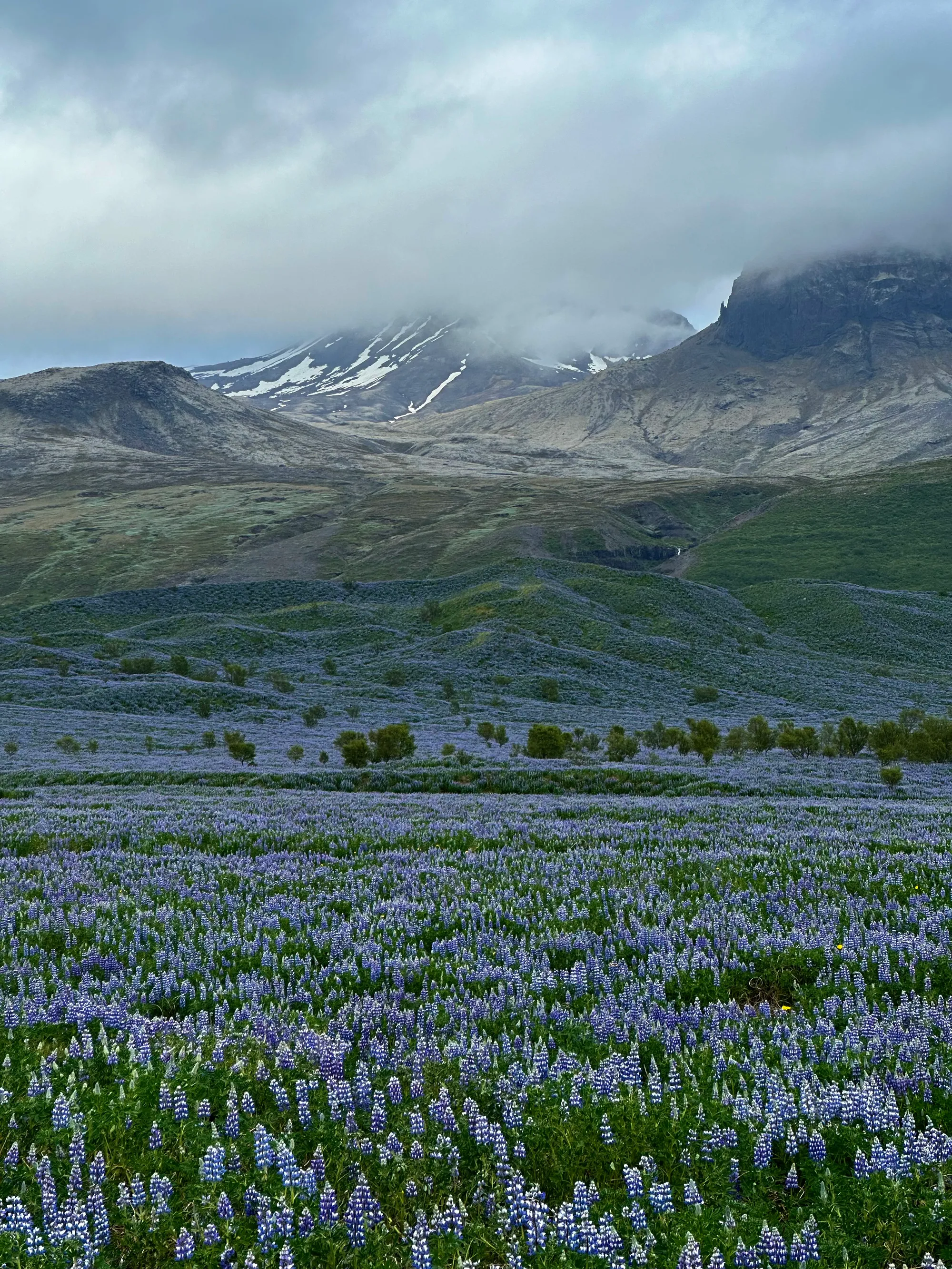 Iceland