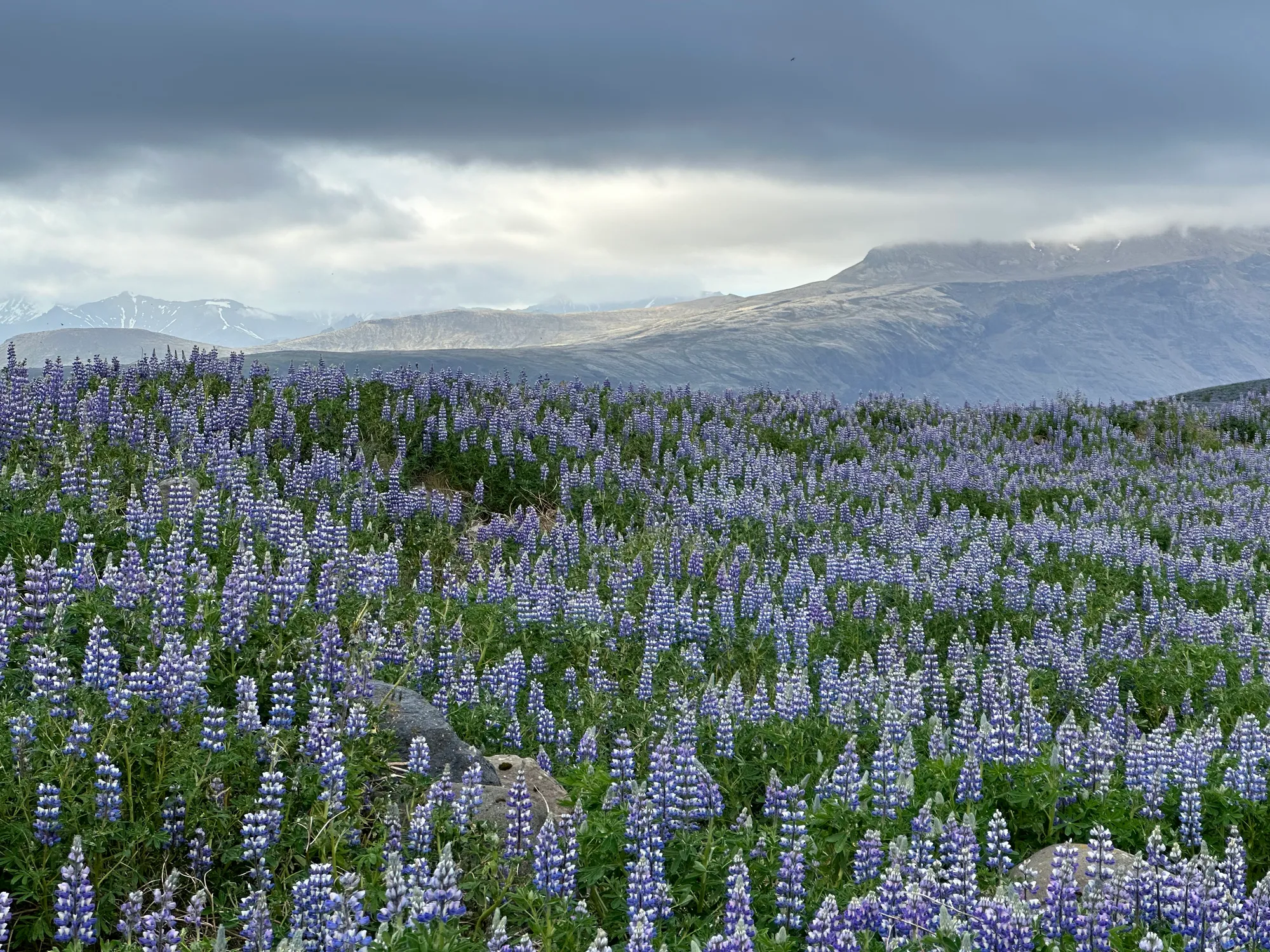 Iceland