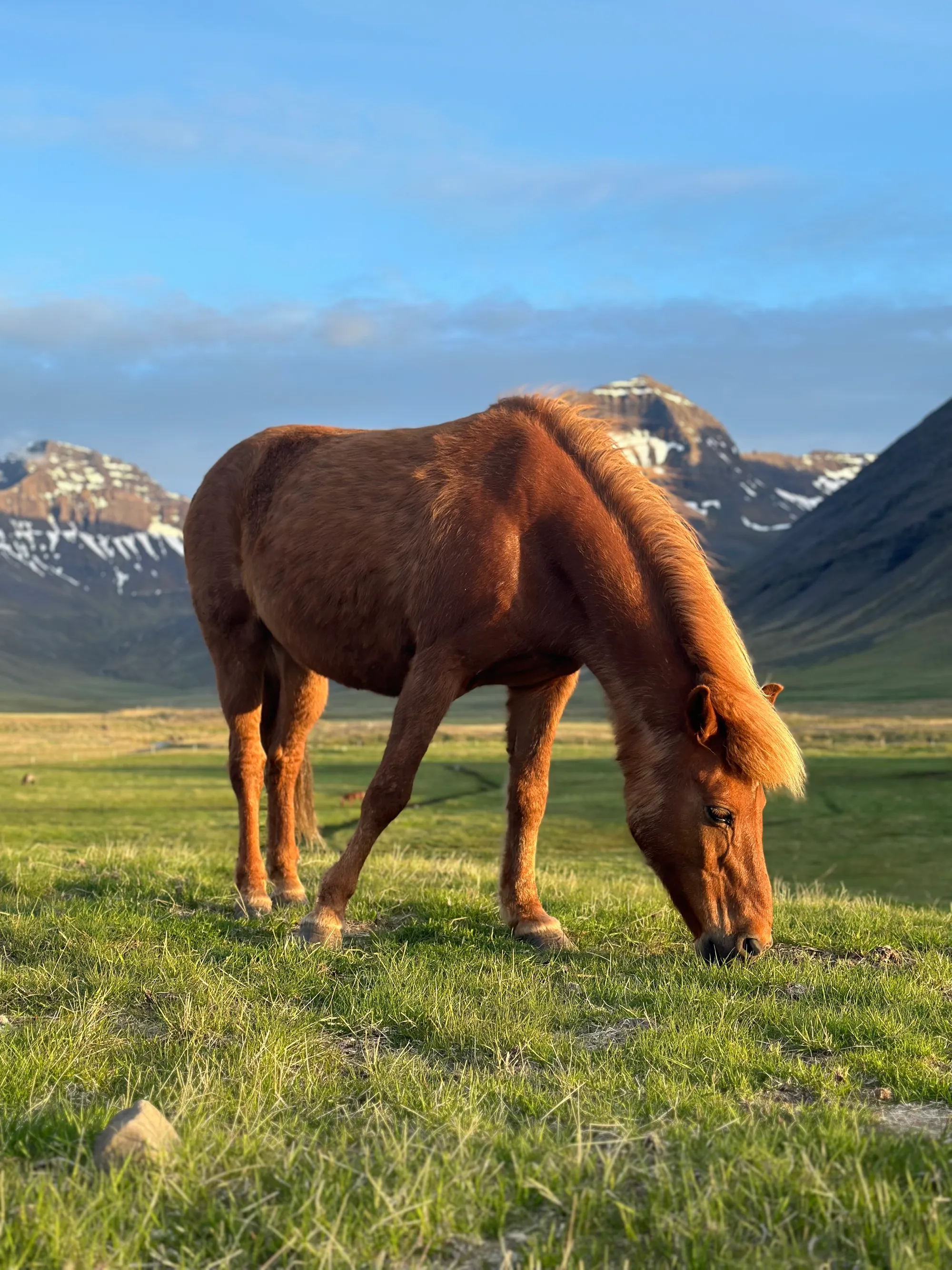 Iceland