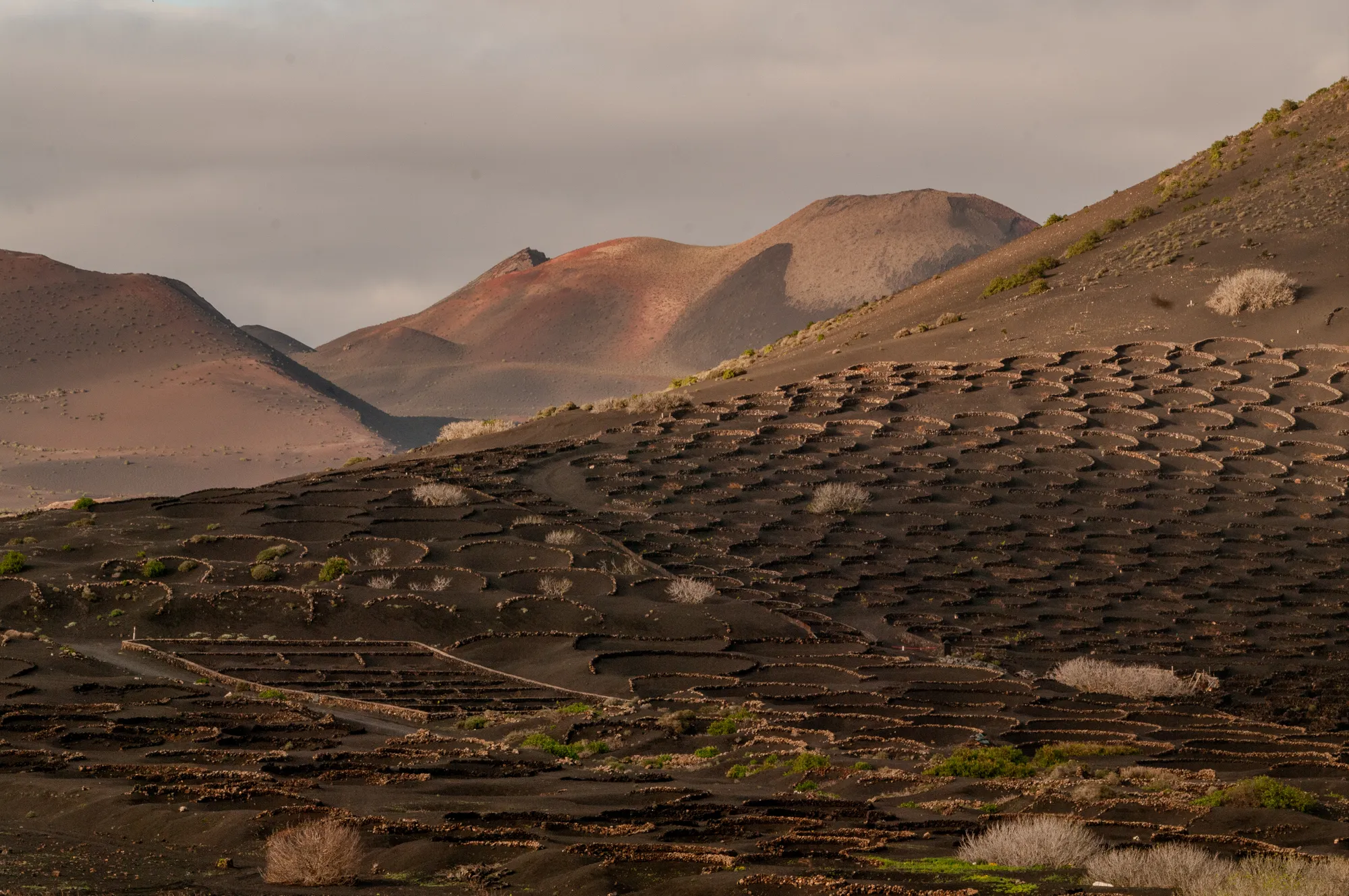 Lanzarote
