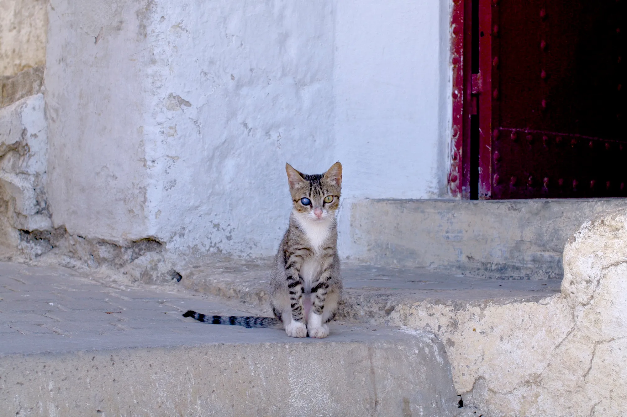 Morocco
