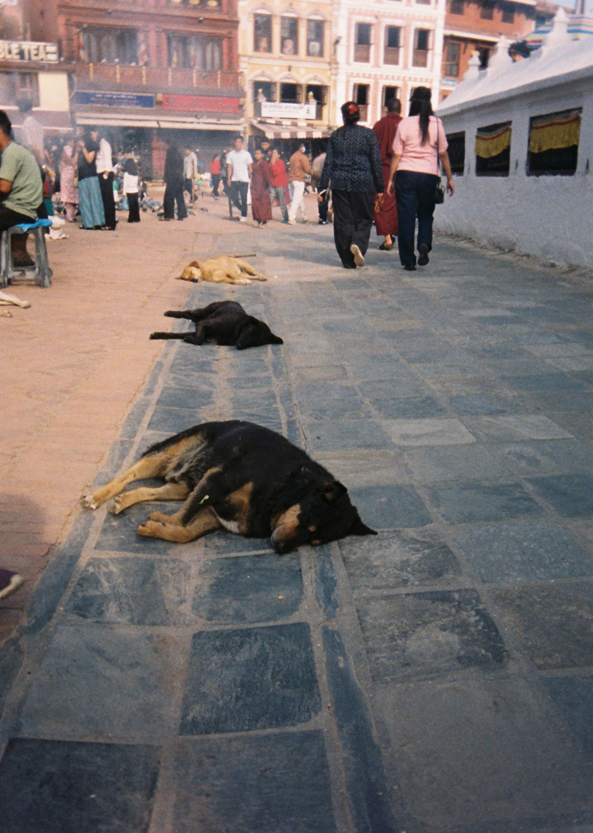 Rest