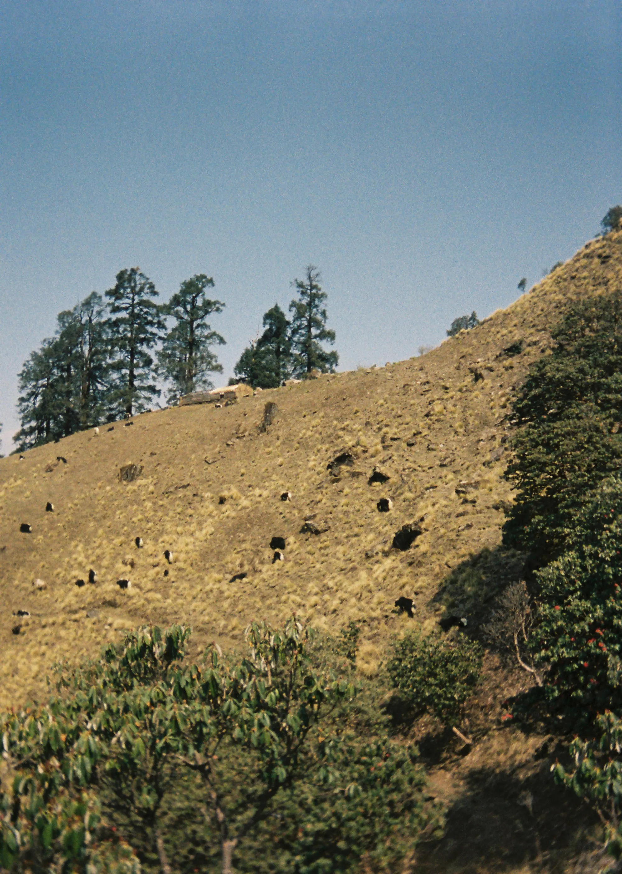 Nepal