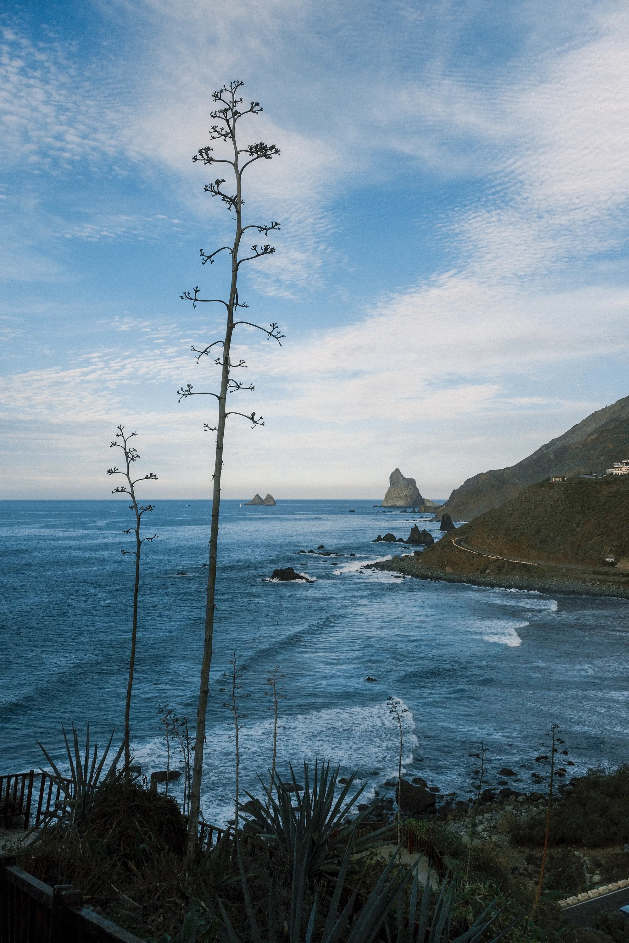 Tenerife & La Gomera
