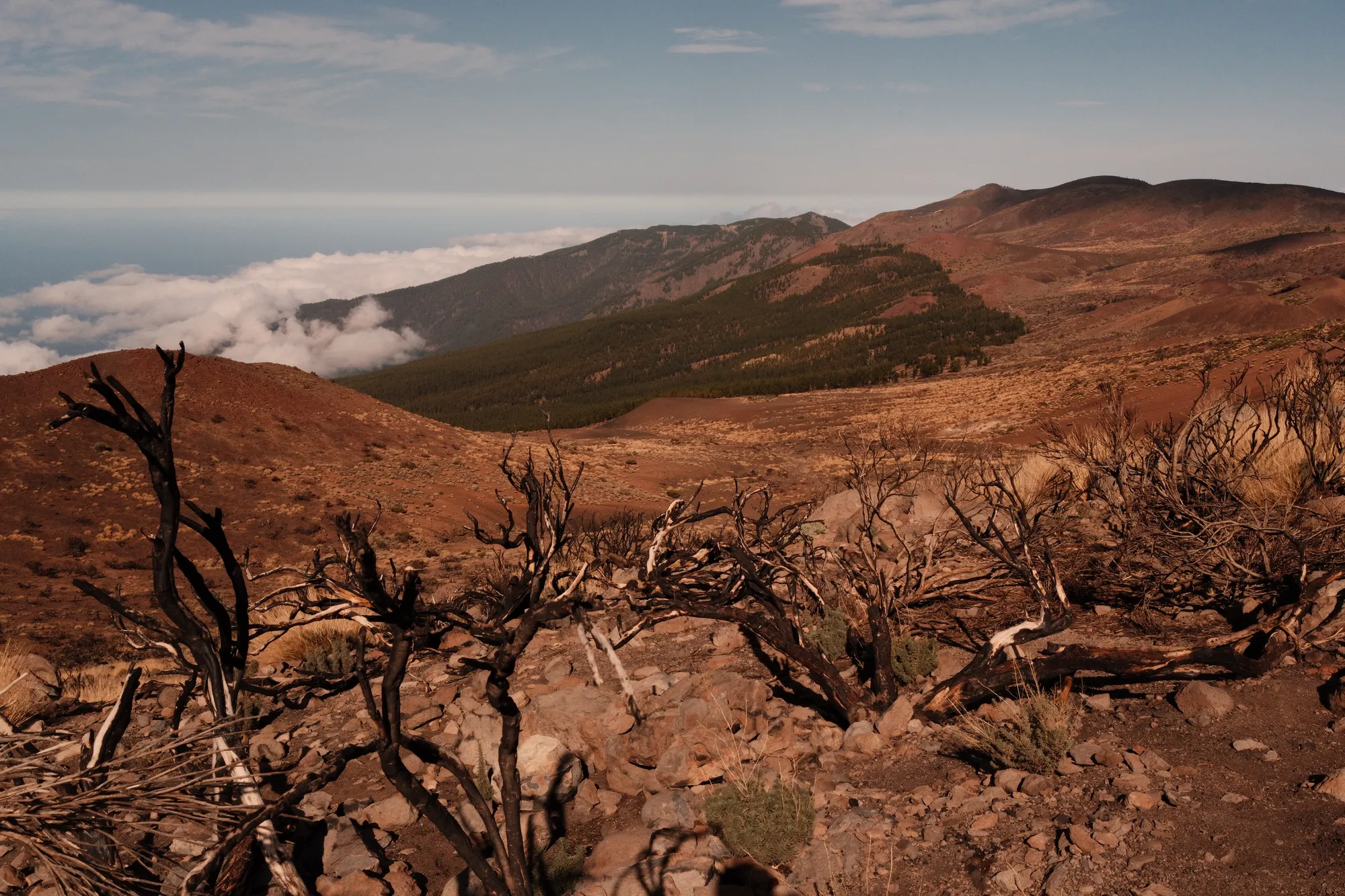 Tenerife & La Gomera
