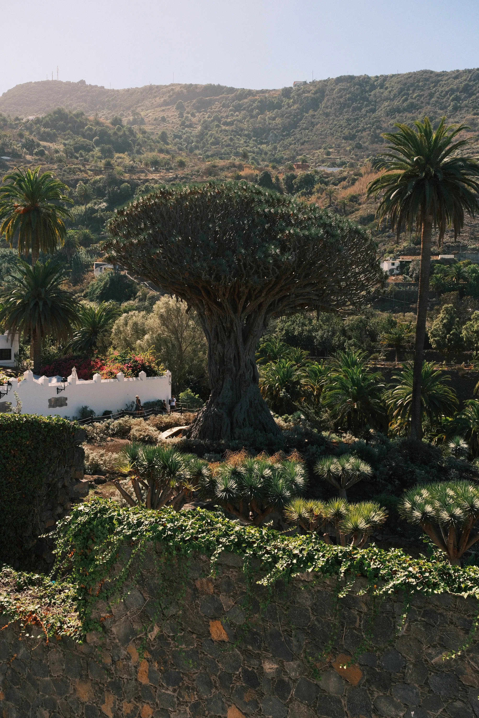 Tenerife & La Gomera